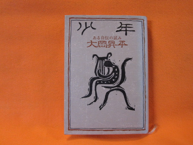 少年