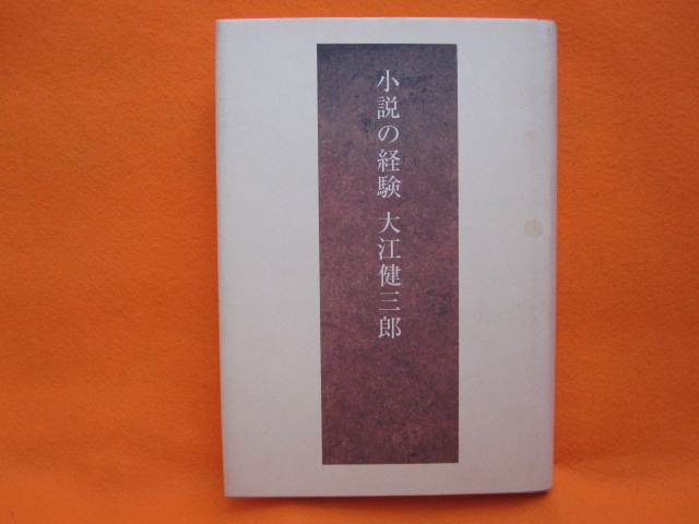 小説の経験