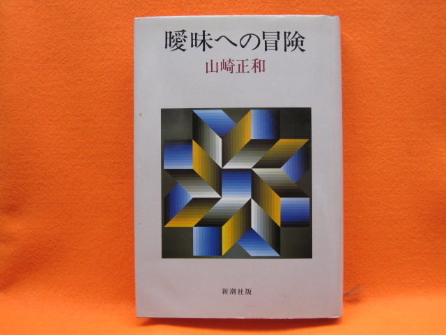 曖昧への冒険