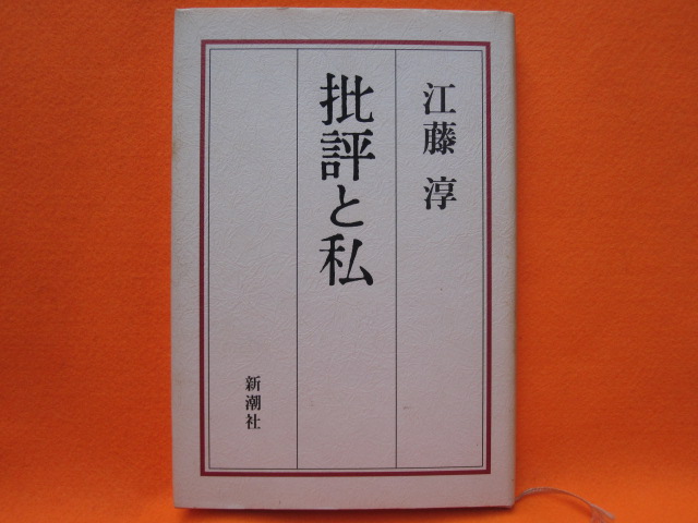 批評と私